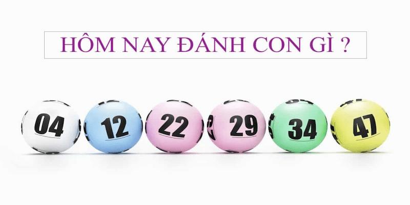 Đề Về 26 Hôm Sau Đánh Con Gì? Kinh Nghiệm Chọn Số Hay 2026 5 Đề về 26 hôm sau đánh con gì